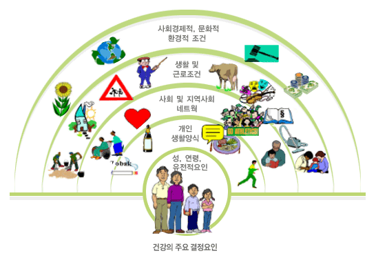 건강의 주요 결정 원인