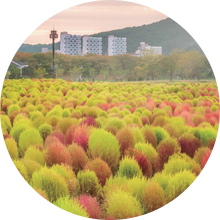 황산공원